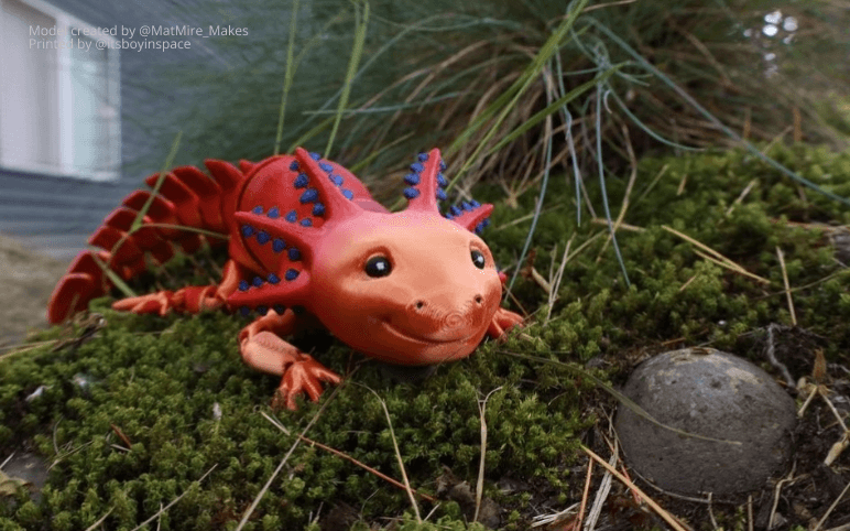 Многоцветная печать